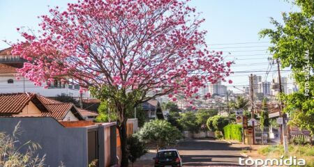 Transição de dias quentes para frente fria trará queda nas temperaturas e aumento da umidade