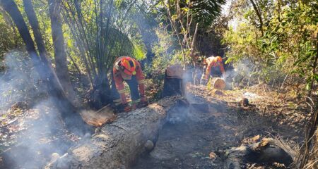 Os bombeiros concentraram esforços na margem direita da rodovia BR-262, no sentido Miranda a Corumbá