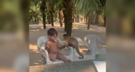 Família estava a passeio em Bonito, quando espertinho levou toda comida do quiosque enquanto família tomava banho de rio