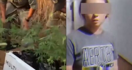 Casal norte-americano plantava maconha em matagal e em apartamento onde morava, em Caldas Novas