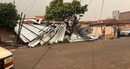 Casas também ficaram destelhadas e árvores caíram em vários pontos da cidade