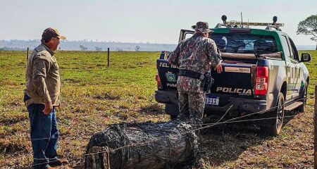 Policiais ambientais recolheram o material para análise