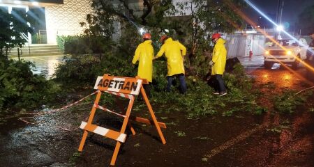 Equipes da prefeitura em trabalho pela cidade