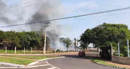 Há restos de galhos e diversos materiais orgânicos no local; fogo se alastra rapidamente