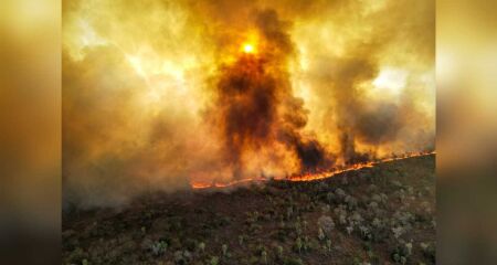 Altas temperaturas e queimadas no Pantanal foram frequentes neste ano