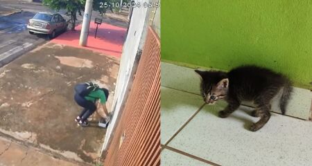 Imagens mostram estudante largando uma caixa em frente a uma residência, no Coophasul