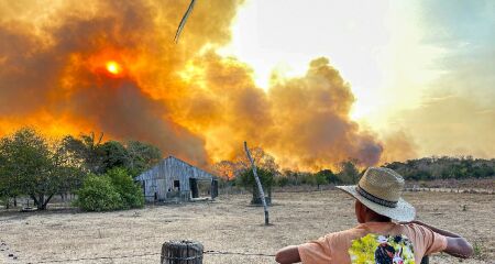 Pantanal está em risco devido a vários fatores, mas ação humana tem forte impacto