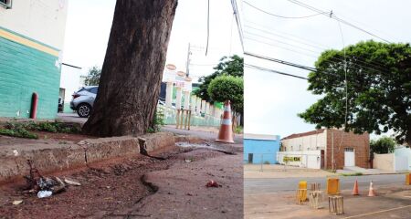 Caso ocorreu perto da Rua da Liberdade 