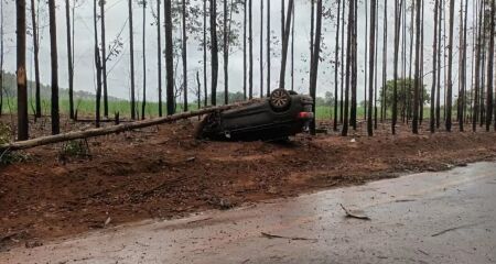 Veículo capotou e atingiu algumas árvores às margens da rodovia