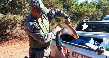 Foram encontrados com ele um Cachara e quatro Pintados