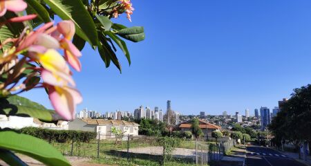 Além de altas temperaturas, podem ocorrer baixos índices de umidade relativa do ar, entre 20-40%