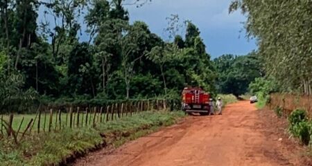 Ele tentou se esconder em uma área de mata, mas encontrou várias caixas de abelhas que eram criadas