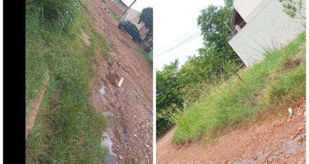 Rua sofre com o mato alto e com as diversas crateras