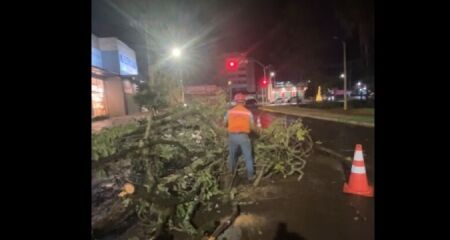 Equipes da Defesa Civil foram acionadas e trabalham nos locais afetados