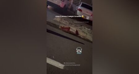 Flagrante chamou a atenção de populares que passavam pelo local