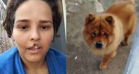 Cachorro apresentava agressividade extrema e oferecia risco iminente