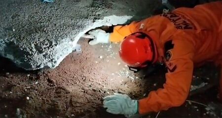 Animal estava retido desde o fim da tarde; operação usou ferramentas de expansão para salvar a mascote