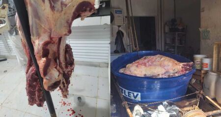 Mais de 1,8 tonelada de carne imprópria para consumo foi apreendida durante operação contra comércio clandestino