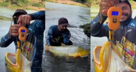 Tamanho de dourado fisgado por Thiago impressiona