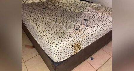 Câmeras de segurança flagraram o momento que o homem invadiu o estabelecimento