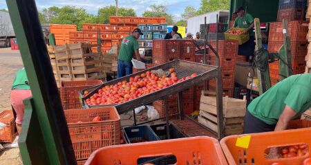 Oferta elevada e demanda tímida derrubam valores de hortaliças; já frutas sobem devido à escassez nas regiões produtoras