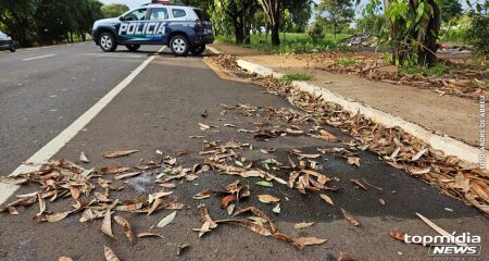 A vítima foi atacada uma semana depois de tentar matar o autor em Campo Grande