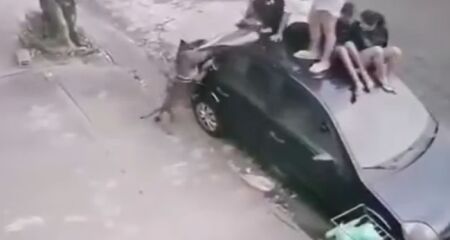 Ataque aconteceu nesse domingo (15) em Jaboticabal