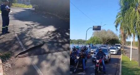 Serpente foi escoltada por pedestres até completar travessia