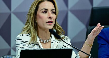 Ao todo, foram apresentados 17 projetos de lei que buscam impor regras mais rígidas