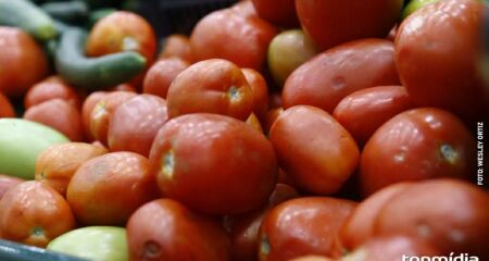 Frio reduziu consumo de alface, enquanto menor oferta elevou os preços do tomate longa vida e do melão espanhol