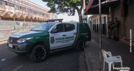 Ferros-velhos foram vistoriados e um tinha ''gato''
