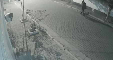 O corpo de uma mulher foi encontrado dentro de uma lixeira nesta segunda-feira (14/7). Ela era usuária de drogas e vivia em situação de rua