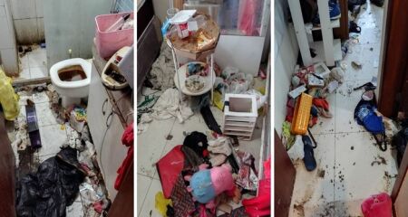 O menino de 10 anos foi encontrado sozinho em um apartamento tomado por sujeira e fezes de cachorro