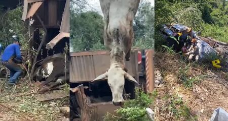 Acidente ocorreu na curva do Arrozal; polícia investiga causa do acidente