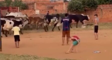 Animais andaram tranquilamente entre as crianças