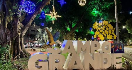 Segundo o texto, as empresas interessadas poderão patrocinar a decoração e, em troca, divulgar suas marcas nos locais iluminados