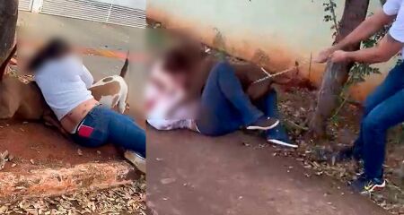 Gravação tem mais de 4 minutos; situação é desesperadora, com tutora no chão tentando separar os animais