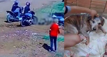 Boby foi atacado e arrastado da porta de casa na sexta-feira (8)