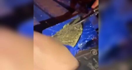 A apreensão aconteceu na madrugada de hoje