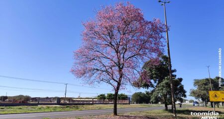 Em Campo Grande, a mínima é de 14°C com a máxima alcançando os 29°C