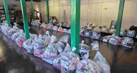 Lances on-line vão até 29 de setembro; visitação presencial ocorre de 23 a 25/9 no Parque dos Poderes, em Campo Grande