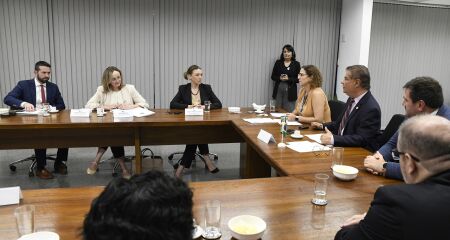 Senador recebeu americanos no Senado 