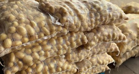 Batata tem queda de 10% nos preços, em média