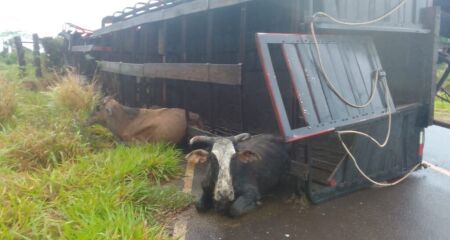 Caminhão tomba e causa acidente em série