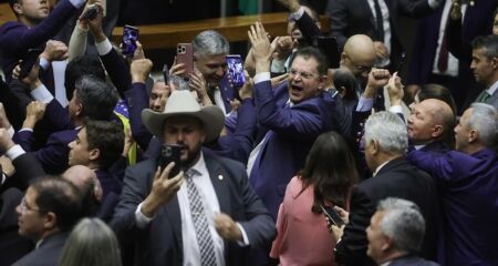 Bolsonarismo tem cerca de 300 votos 