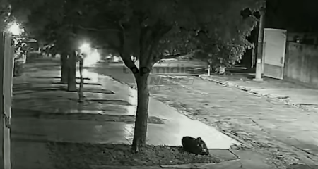 Nu, homem tentou assediar meninas que vendiam doce, mas tentou escapar após vítimas pedirem ajuda