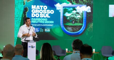 Riedel apresentou ações adotadas em MS 