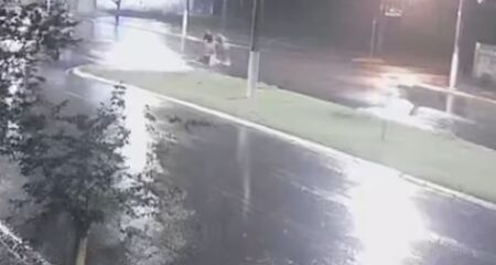 Além do cofre, os bandidos carregaram peças, ferramentas e lâminas de cheque, que ficavam no estabelecimento