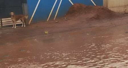 Linha de ônibus no Parque Lageado fica intransitável durante chuva