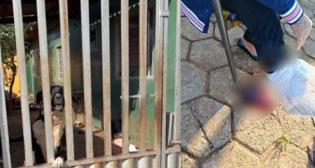 Vítima foi socorrida por moradores e levada para hospital